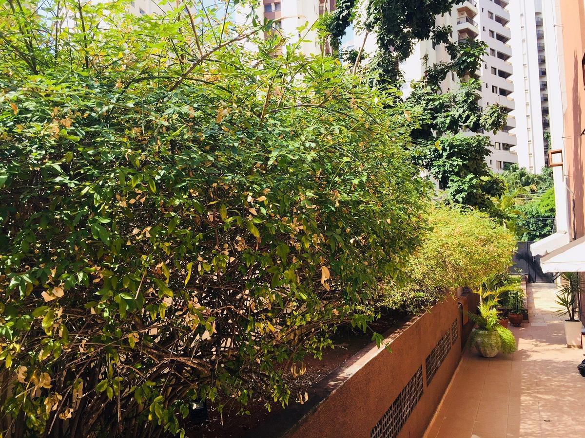 Duplex Moema Ao Lado Do Parque Apartment เซาเปาโล ภายนอก รูปภาพ